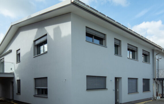 Ersatzbau Wohnhaus, Waltenschwil